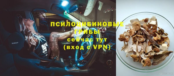 стаф Володарск
